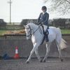 Poplars Farm Riding School