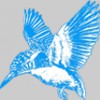 Kingfisher Environmental Services