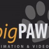 Big Paw Animation