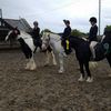 North Lizard Riding School