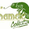 Chameleon Collection Wallpapers & Fabrics