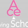 Ace Driving School