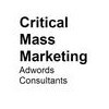 Critical Mass Marketing