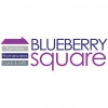 Blueberry Square