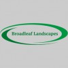 Broadleaf Landscapes