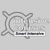 Intensive Courses