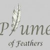 Plume Of Feathers