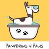 Pampering 4 Paws