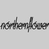 Northern Flower