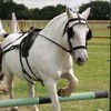 Runningwell Equestrian Centre