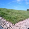 Eco Green Roofs