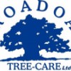 BroadOak Tree Care