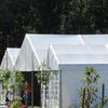 Able Marquees