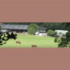 Hogbrook Equestrian Centre