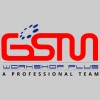 GSM Workshop PLUS