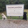 Snowlandia Boarding Kennels & Cattery