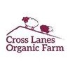 Cross Lanes Organic Farm Shop