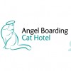 Angel Boarding Cat Hotel