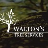 Walton's Tree Services