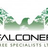 Falconer Tree Specialists