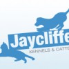 Jaycliffe Kennels & Cattery