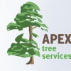 Apex Tree Services