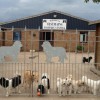 Westmains Boarding Kennels