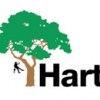 Harts Tree Services