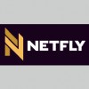 Netfly Design