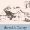 Barnside Boarding Cattery