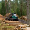 Shropshire Forestry Contractors