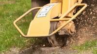 Stump Grinding