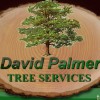 David Palmer Landscapes