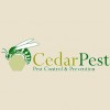 Cedar Pest