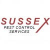 Mid Sussex Pest Control Services